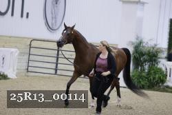 25R13_00114 thumbnail