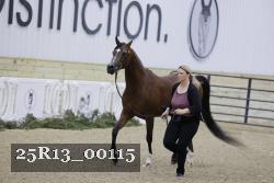 25R13_00115 thumbnail