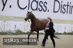 25R13_00116 thumbnail