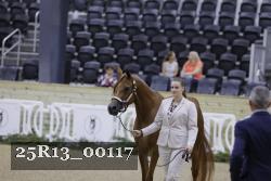 25R13_00117 thumbnail