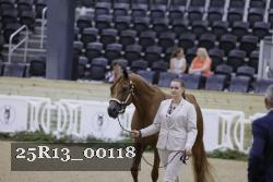 25R13_00118 thumbnail