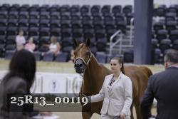 25R13_00119 thumbnail
