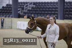 25R13_00121 thumbnail