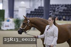 25R13_00122 thumbnail