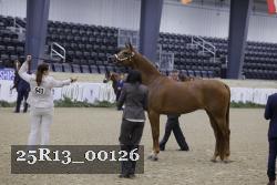 25R13_00126 thumbnail