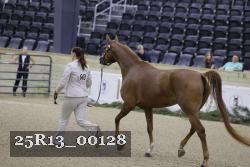 25R13_00128 thumbnail