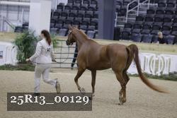 25R13_00129 thumbnail