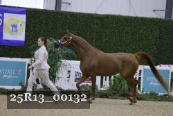 25R13_00132 thumbnail