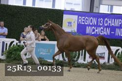 25R13_00133 thumbnail