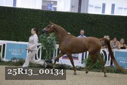 25R13_00134 thumbnail