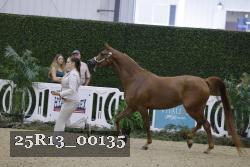 25R13_00135 thumbnail