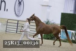 25R13_00136 thumbnail