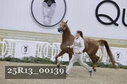 25R13_00139 thumbnail