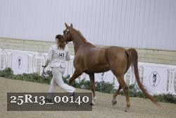 25R13_00140 thumbnail