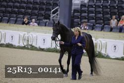 25R13_00141 thumbnail