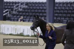 25R13_00142 thumbnail