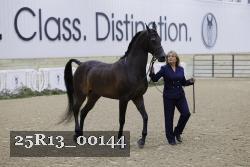 25R13_00144 thumbnail