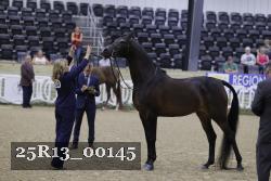 25R13_00145 thumbnail