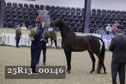 25R13_00146 thumbnail