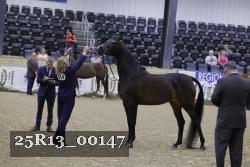25R13_00147 thumbnail