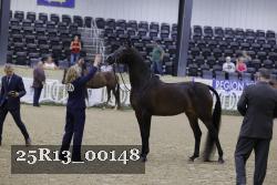 25R13_00148 thumbnail