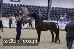 25R13_00149 thumbnail