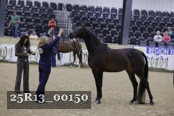 25R13_00150 thumbnail