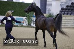 25R13_00152 thumbnail