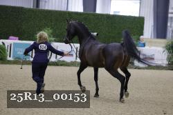 25R13_00153 thumbnail