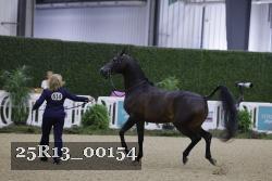 25R13_00154 thumbnail