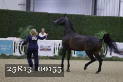25R13_00155 thumbnail