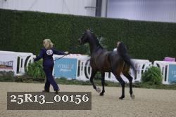 25R13_00156 thumbnail