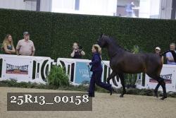 25R13_00158 thumbnail