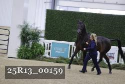 25R13_00159 thumbnail