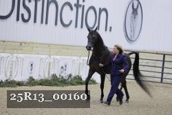 25R13_00160 thumbnail