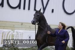 25R13_00161 thumbnail