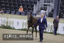 25R13_00162 thumbnail