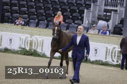 25R13_00163 thumbnail