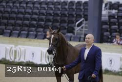 25R13_00164 thumbnail