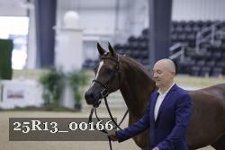 25R13_00166 thumbnail