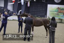25R13_00167 thumbnail