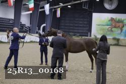 25R13_00168 thumbnail