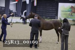 25R13_00169 thumbnail