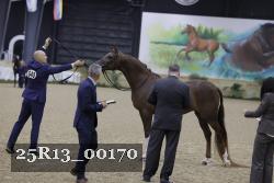 25R13_00170 thumbnail