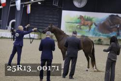 25R13_00171 thumbnail