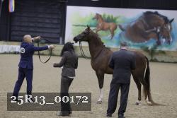 25R13_00172 thumbnail