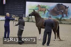 25R13_00173 thumbnail