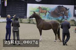 25R13_00174 thumbnail