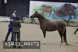 25R13_00175 thumbnail