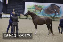25R13_00176 thumbnail